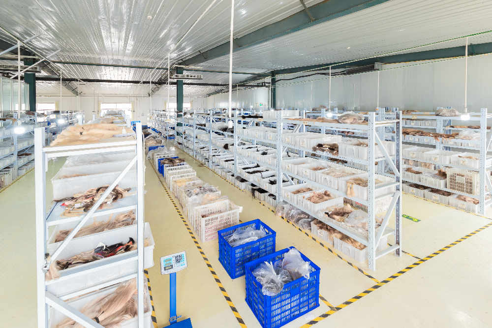 human hair wigs warehouse