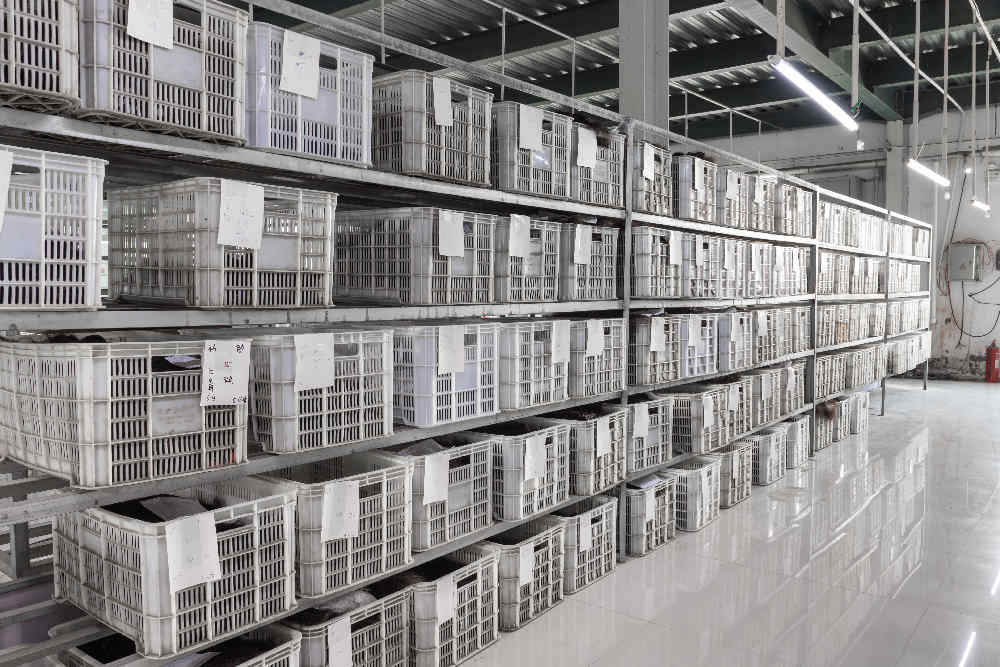 human wigs warehouse